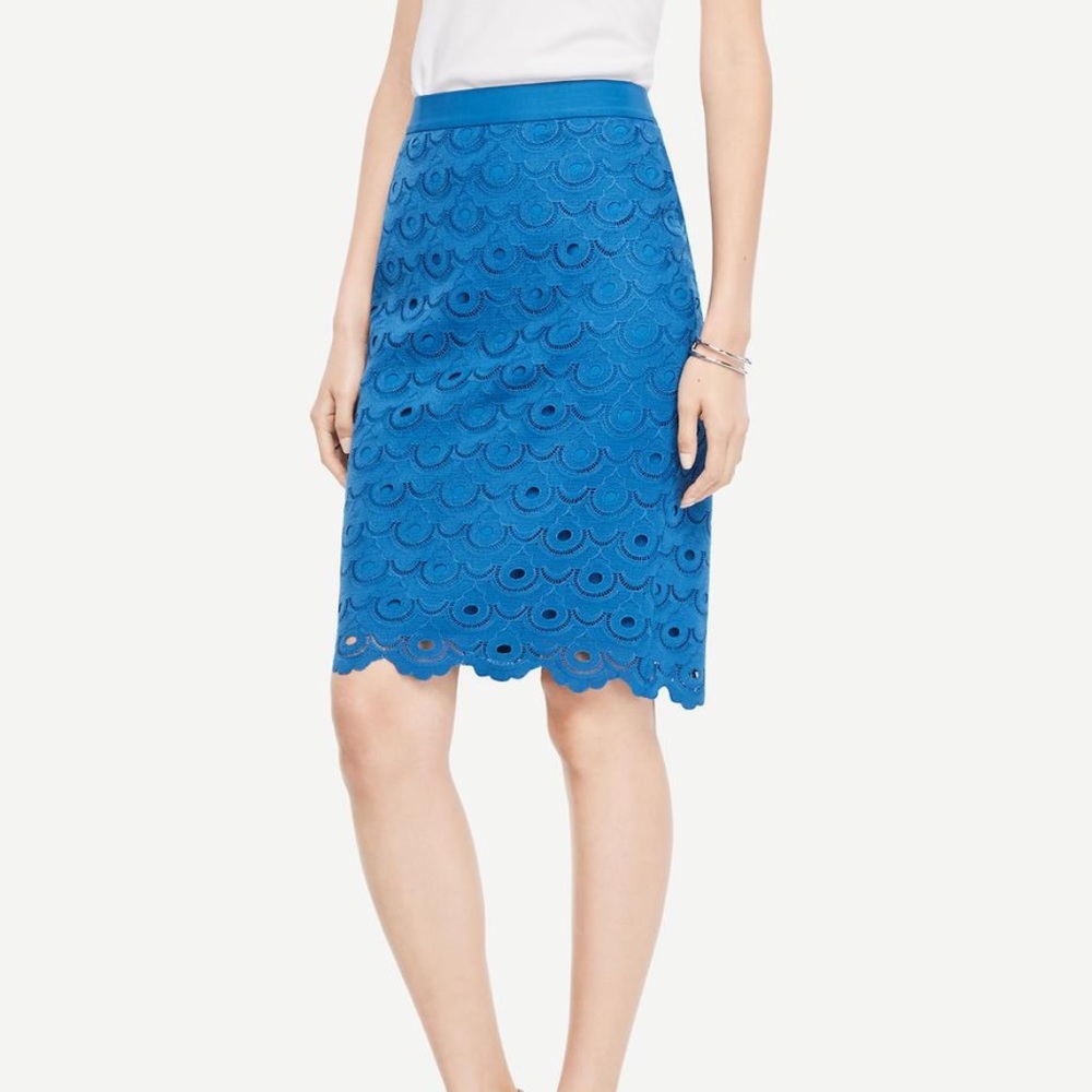 Ann Taylor circle lace blue skirt